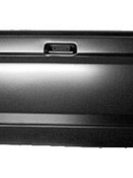 FO1900114 Body Panel Truck Box Tailgate Assembly