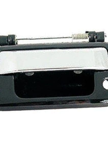 FO1915121 Exterior Tailgate Handle