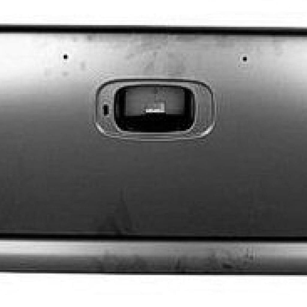 GM1900119C Body Panel Truck Box Tailgate Shell