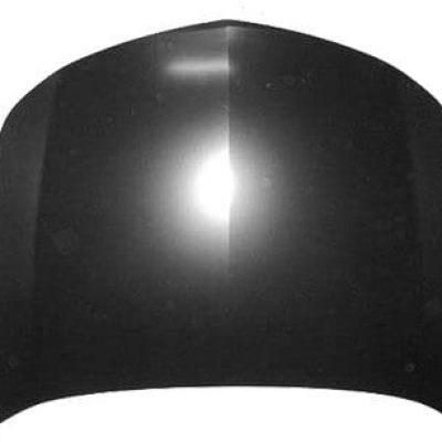 AC1230117C Hood Panel