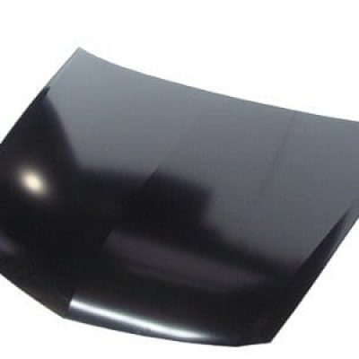 AC1230119C Hood Panel