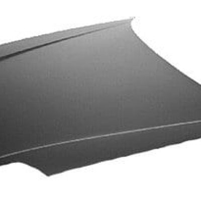HO1230133 Hood Panel
