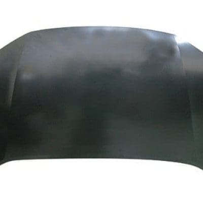 HO1230160C Hood Panel