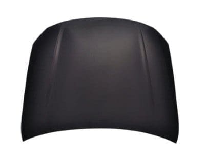 HO1230163C Hood Panel