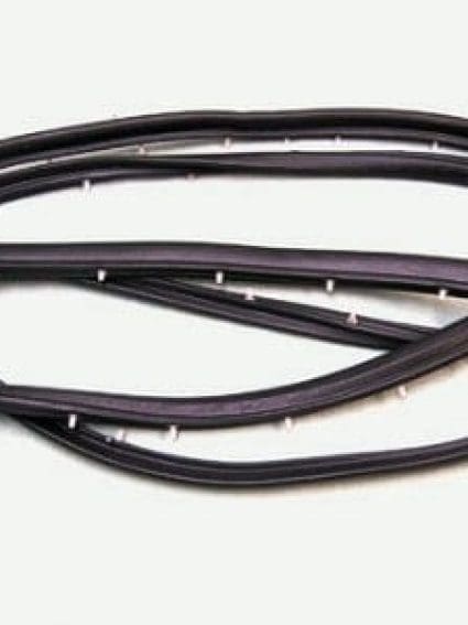 GM1592102 Weatherstrip Door Cargo