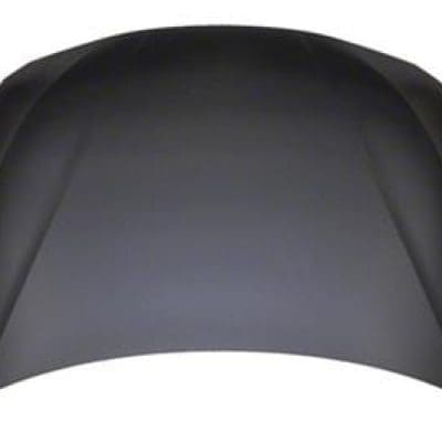 BM1230136C Body Panel Hood