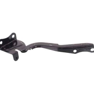 TO1236193 Passenger Side Hood Hinge