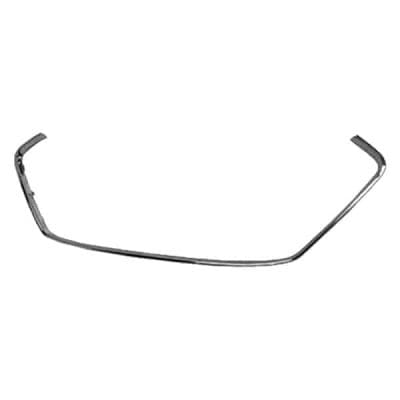 HY1210103C Front Outer Grille Molding