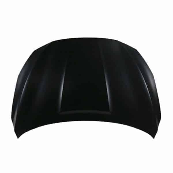 NI1230208C Hood