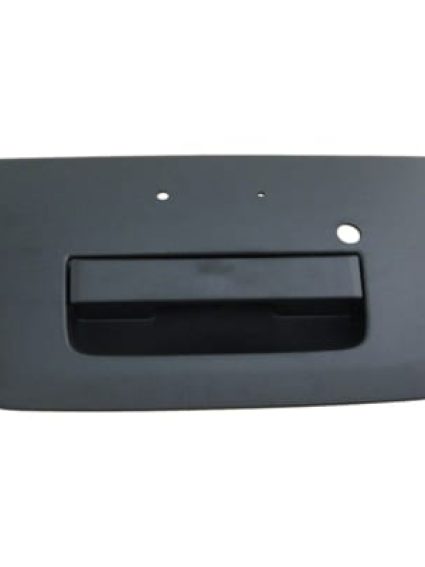 NI1915109 Exterior Tailgate Handle