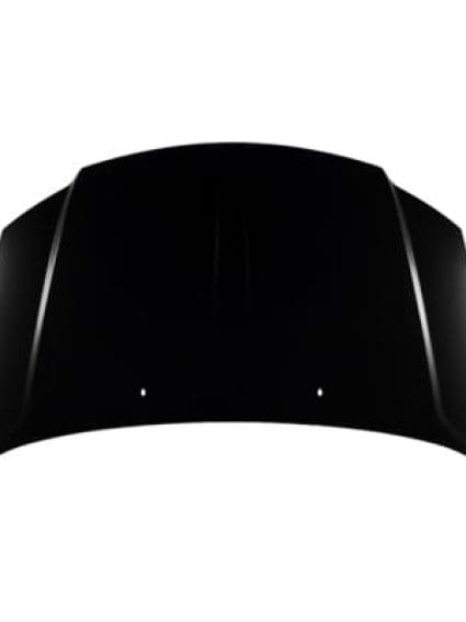 CH1230289 Body Panel Hood