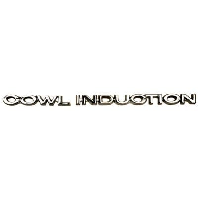 0802-030 Body Panel Hood Cowl Induction Emblem