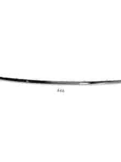 IN1044102 Front Bumper Cover Molding