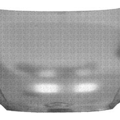 KI1230110 Hood Panel