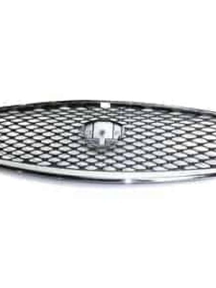 IN1200119 Grille Main