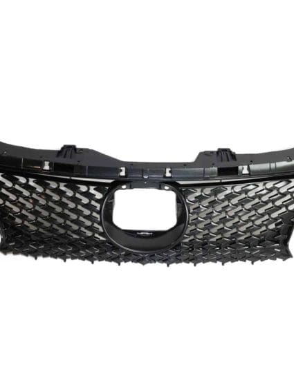 LX1200174 Grille Main