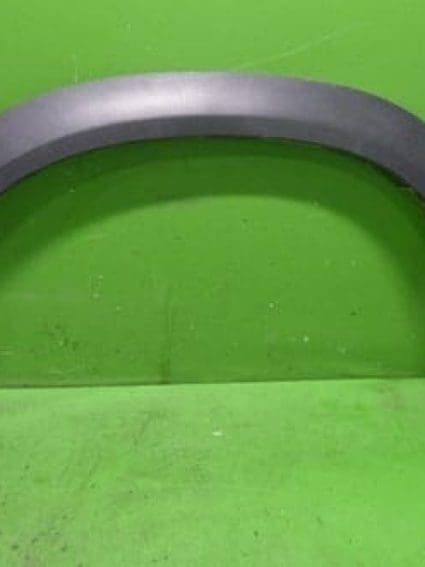 LX1290101 Body Panel Fender Molding Driver Side