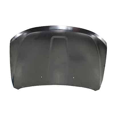 CH1230284 Body Panel Hood