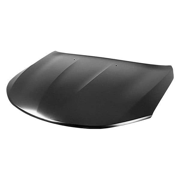 CH1230311C Hood Panel