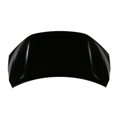 HO1230189C Hood Panel