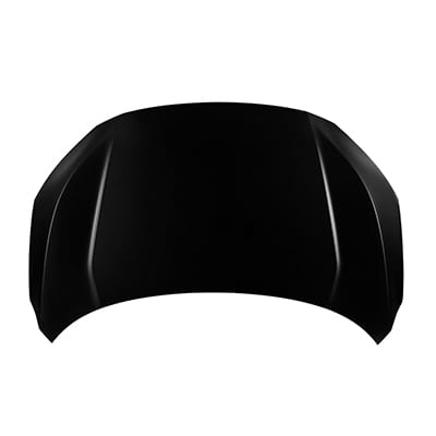 HO1230188C Hood Panel