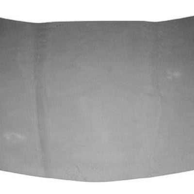 GM1230348 Body Panel Hood