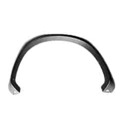 FO1791115 Passenger Side Molding