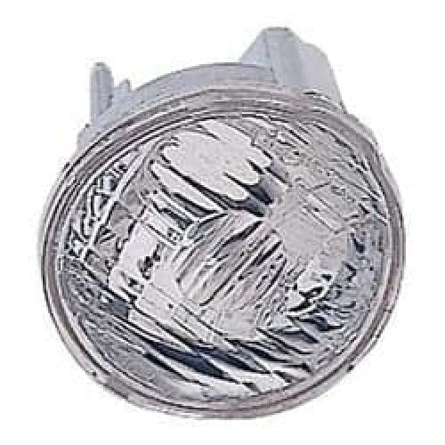 GM2520176 Front Light Park Lamp Assembly Signal/Park