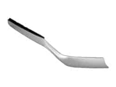 HO1213118C Passenger Side Front Grille Molding