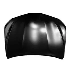 HO1230191C Hood Panel