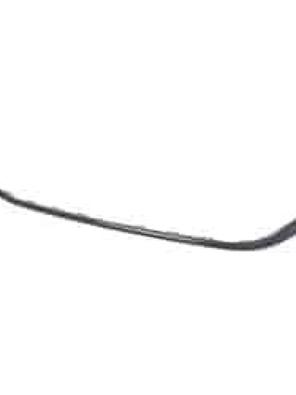 CH1044134C Front Bumper Cover Grille Molding