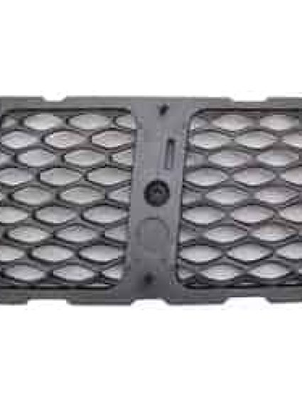CH1212105 Grille Molding