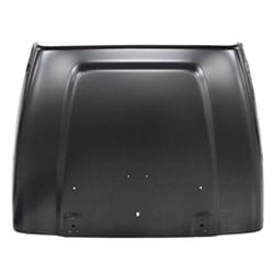 CH1230205C Body Panel Hood
