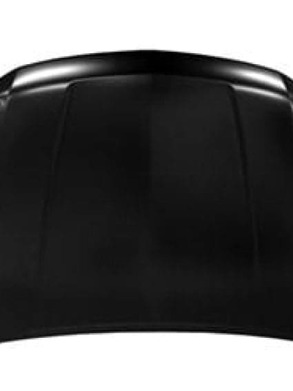 GM1230461C Body Panel Hood