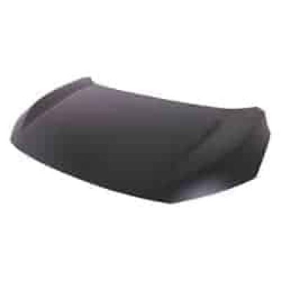 HO1230194C Hood Panel