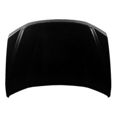 FO1230323 Hood