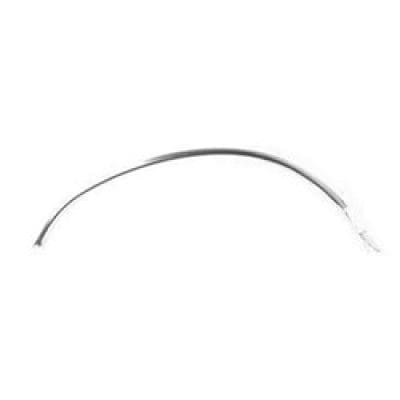 FO1290106 Driver Side Fender Molding