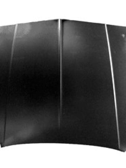 GM1230117 Body Panel Hood