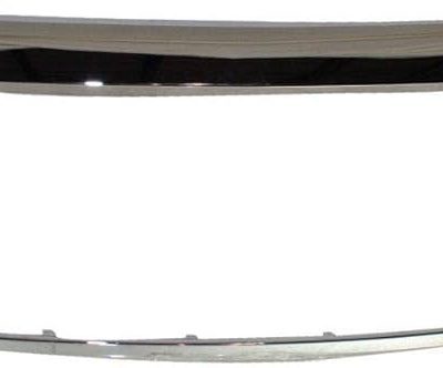 HO1202103C Front Outer Grille Molding