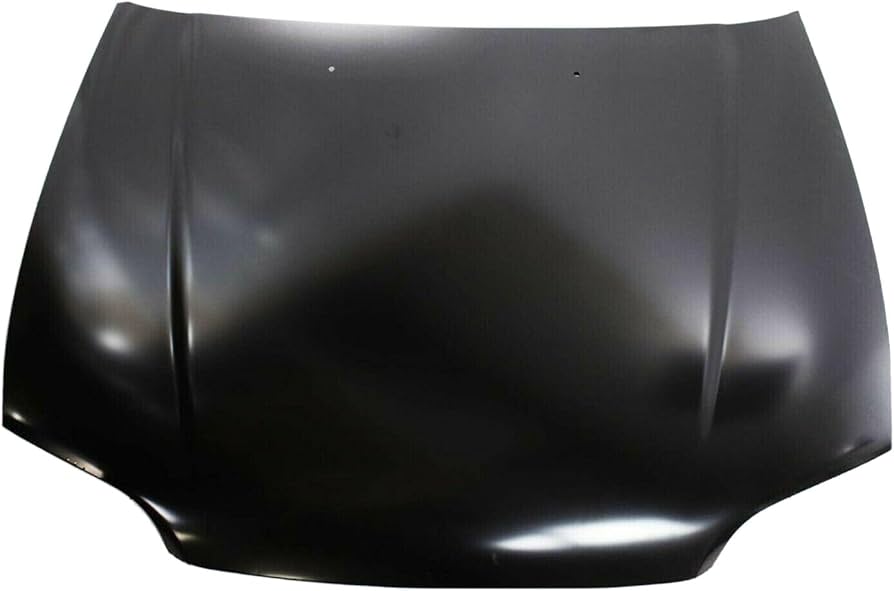 HO1230118V Hood Panel
