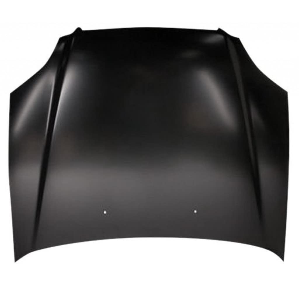 HO1230120C Hood Panel
