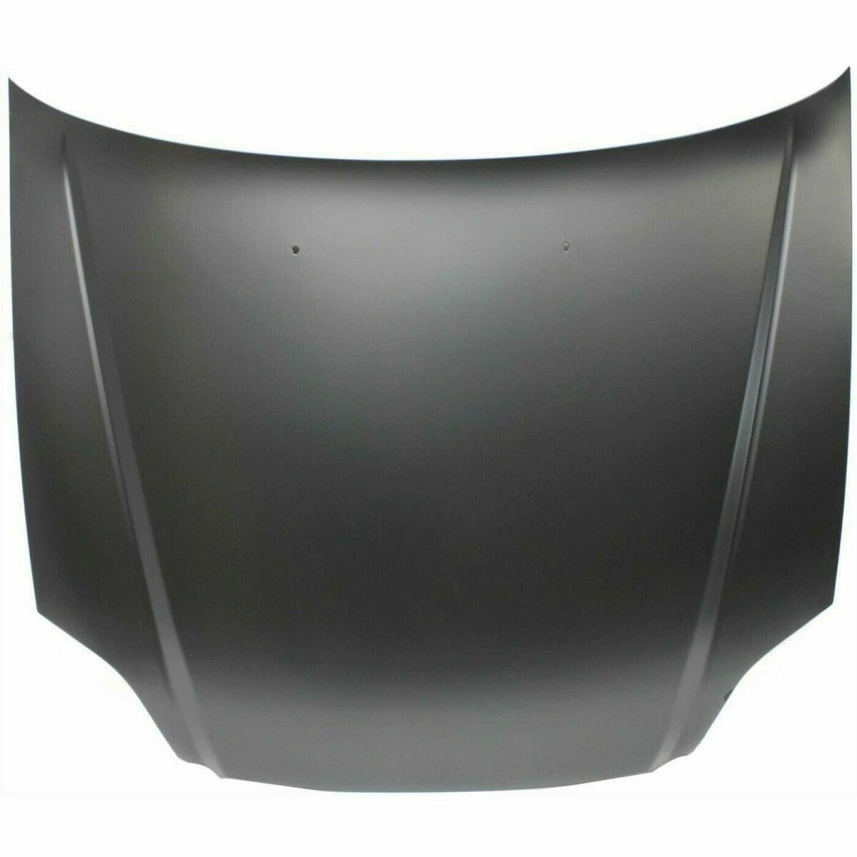 HO1230131C Hood Panel