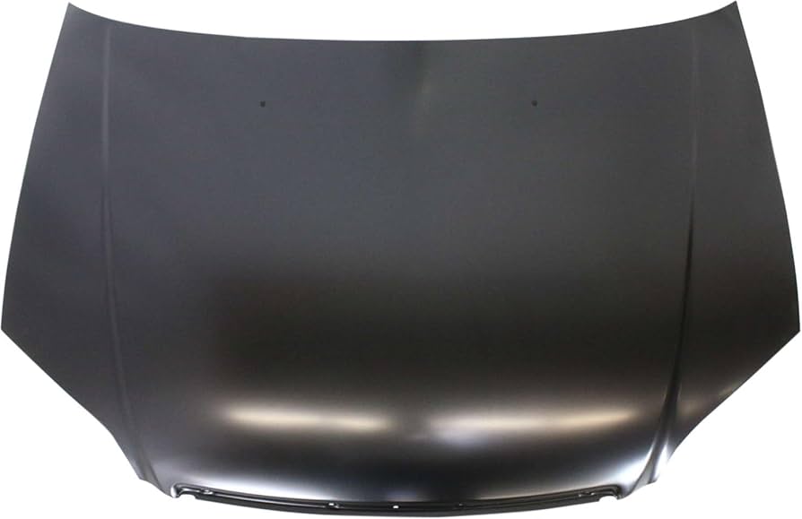 HO1230134C Hood Panel