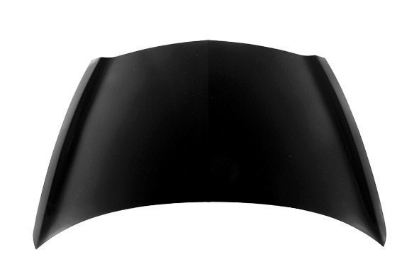 HO1230153C Hood Panel
