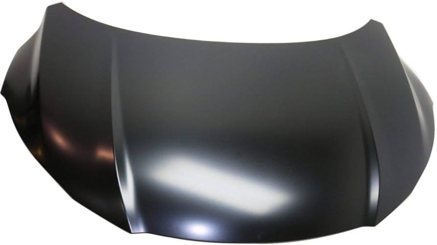 HO1230179C Hood Panel