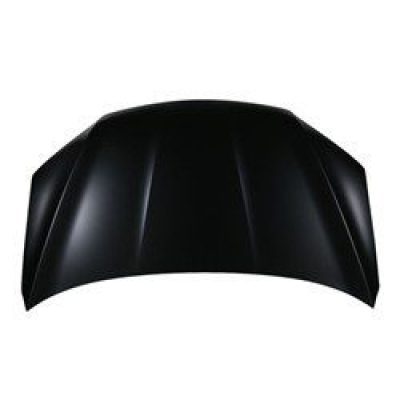 HO1230180C Hood Panel