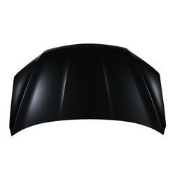 HO1230180C Hood Panel