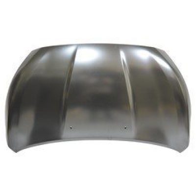 MI1230225 Hood