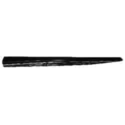 NI1304107 Driver Side Door Molding