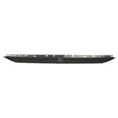 NI1904103 Tailgate Molding